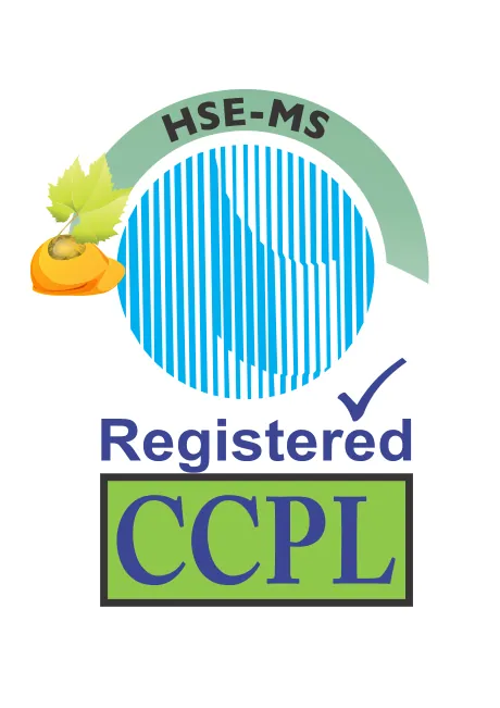 HSE-MS — CCPL